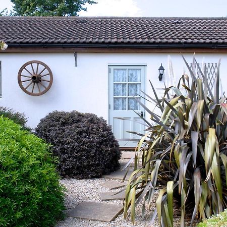Ashton Cottages Cheddar Exterior photo