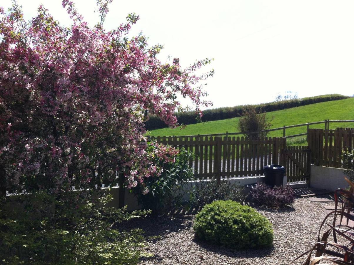 Ashton Cottages Cheddar Exterior photo